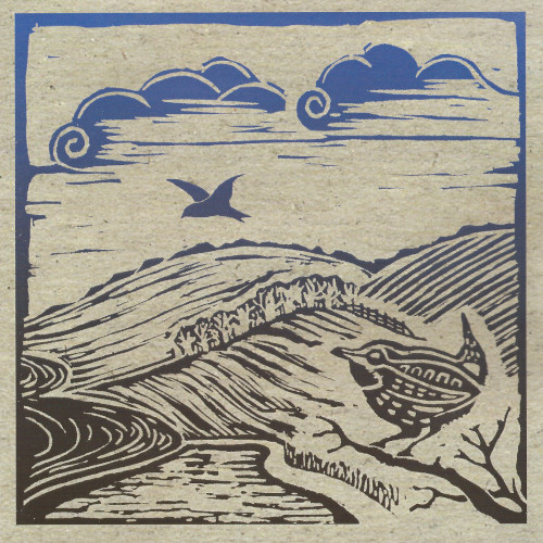 Kate Garrett - King of the Birds cover